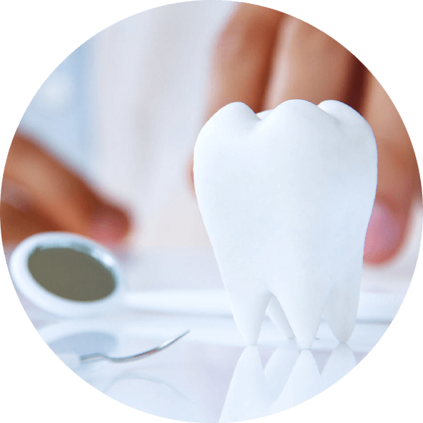 3d tooth and dental tools